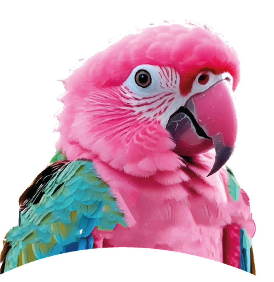 Agustín López Travaglio — She Parrot